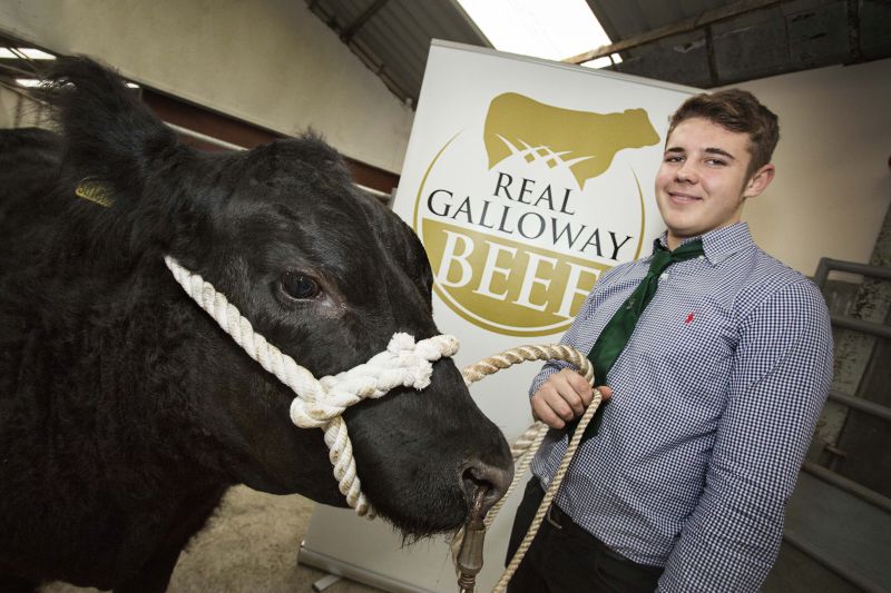 Real Galloway Beef Brand Press Launch